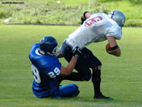 sack.jpg (124kb)